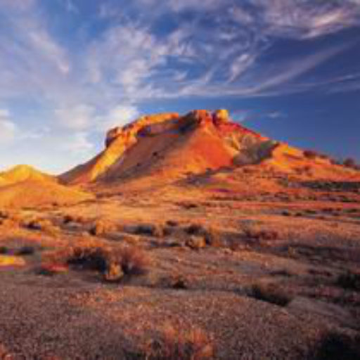 thepainteddesert.com.au